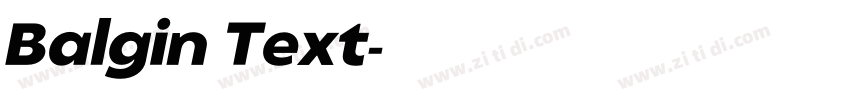 Balgin Text字体转换 Balgin Text字体转换